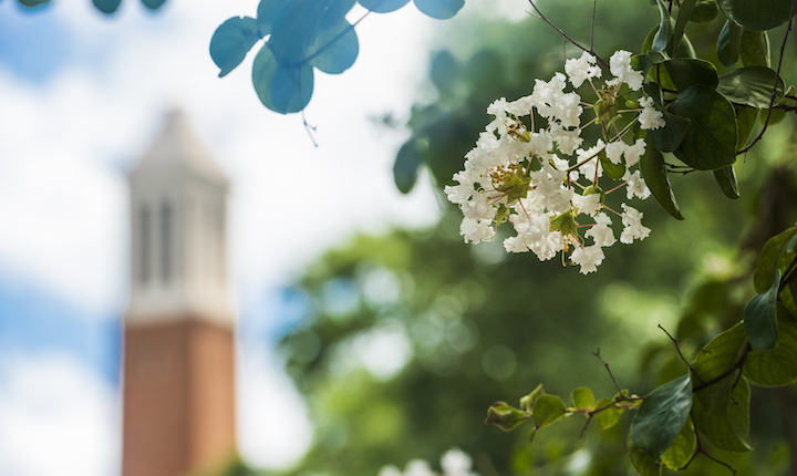 Denny Chimes stock image